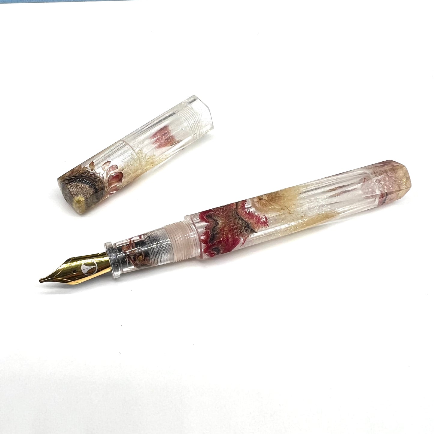 Wildflowers Ascher Fountain Pen