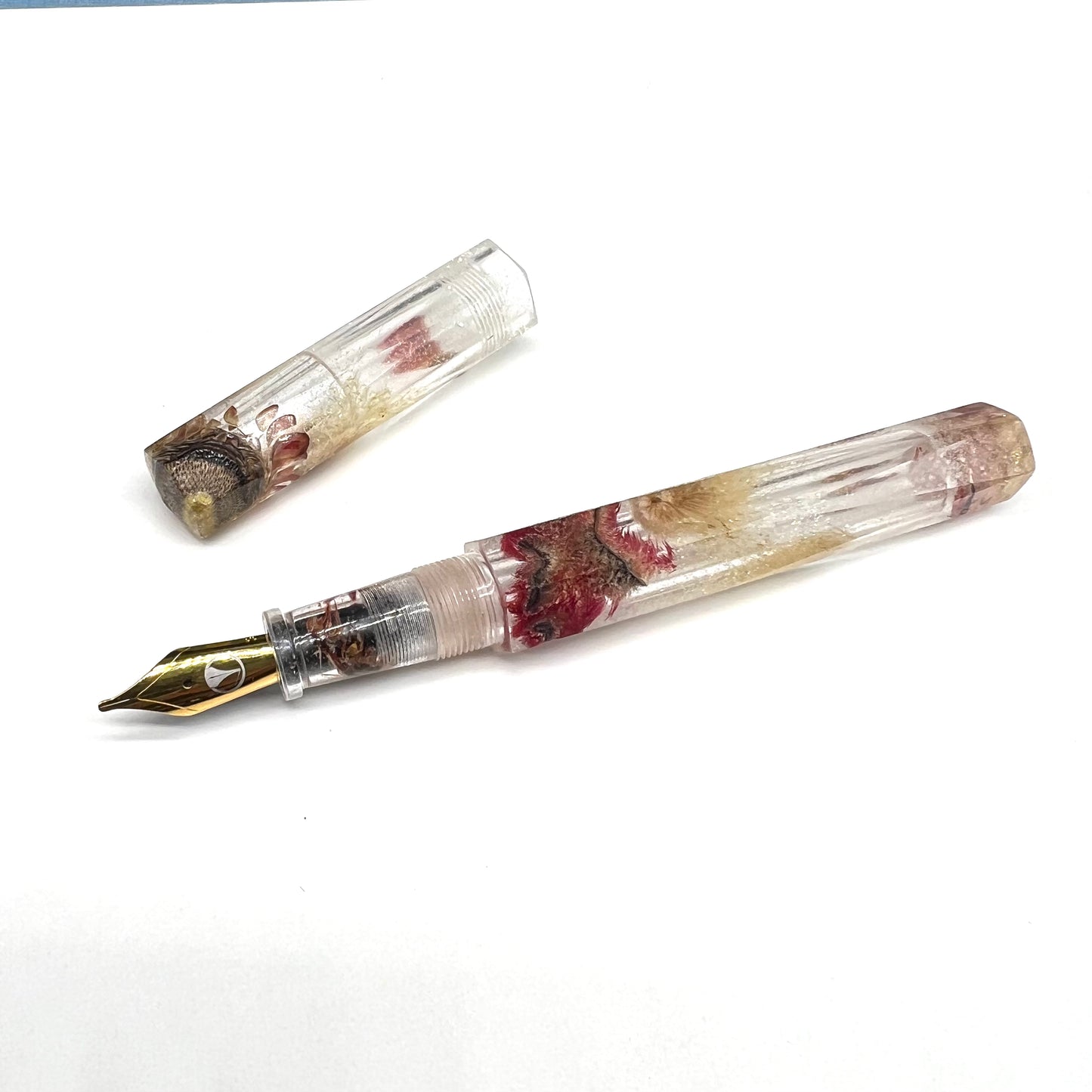 Wildflowers Ascher Fountain Pen