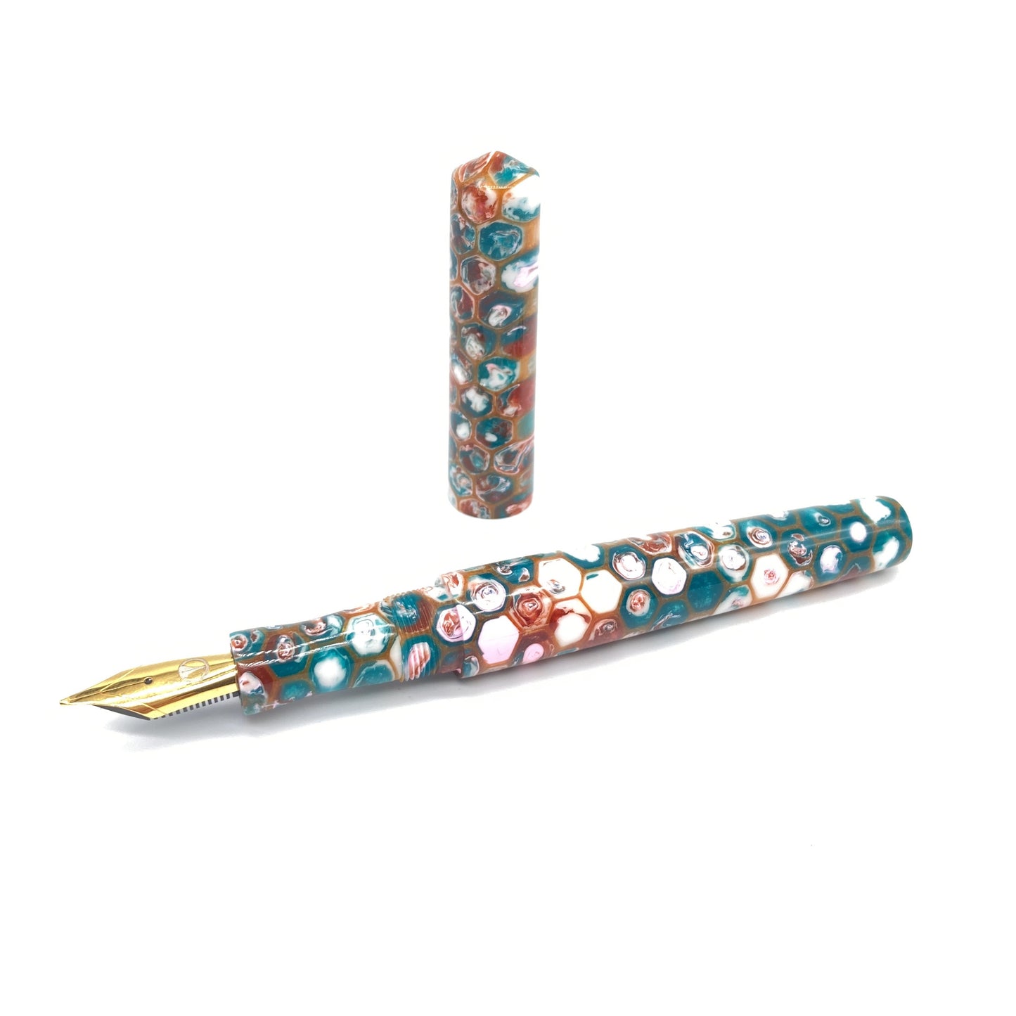 Coral Reef Motif